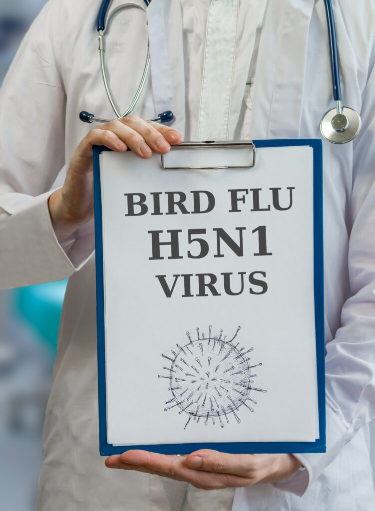 Doctor is warning against bird flu H5N1 virus
By vchalup